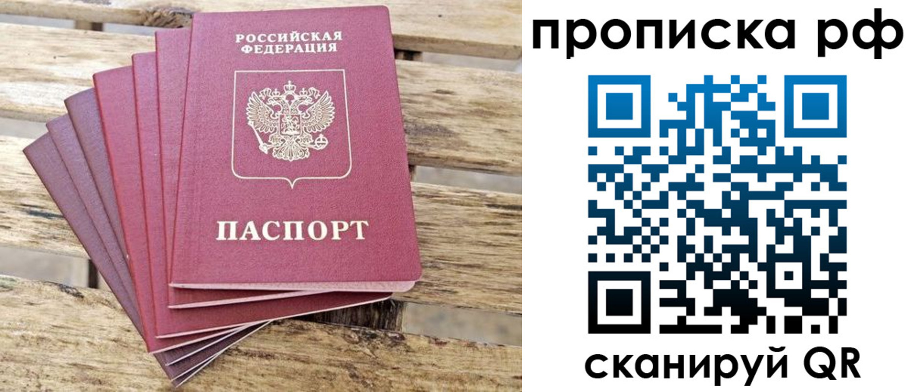 прописка гарантия в Кондрово